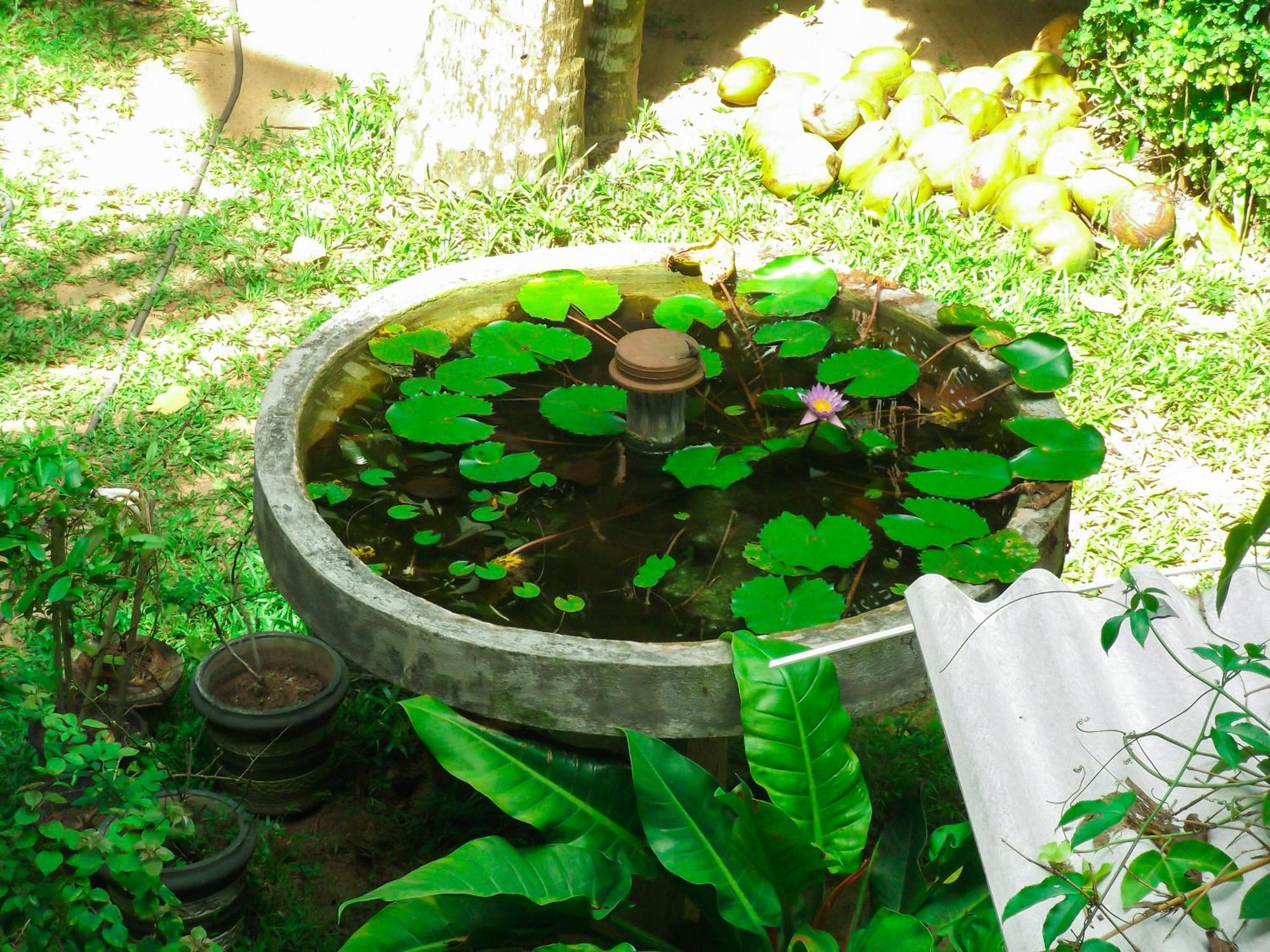 Flora And Fauna Мирисса
